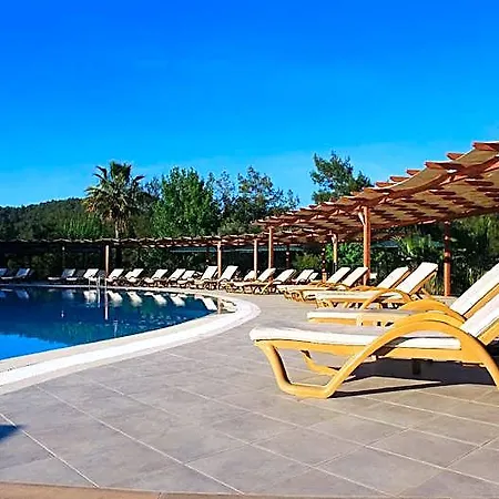 Forest Village Cedit