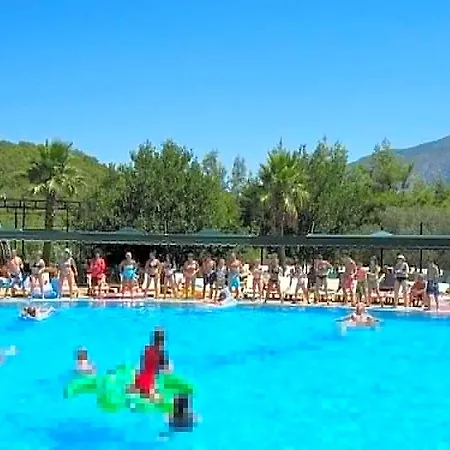 Hotel Forest Village Cedit